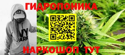 стаф Заволжье