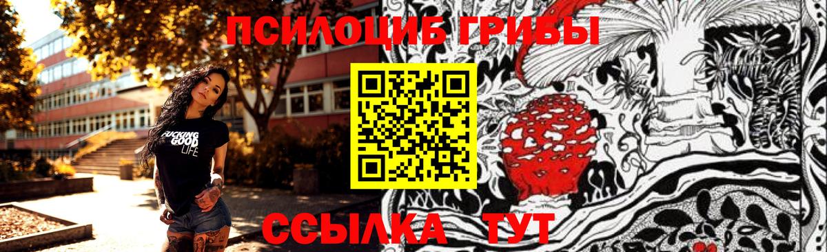 Тихвин  Галлюциногенные грибы ЛСД  Вход с VPN 