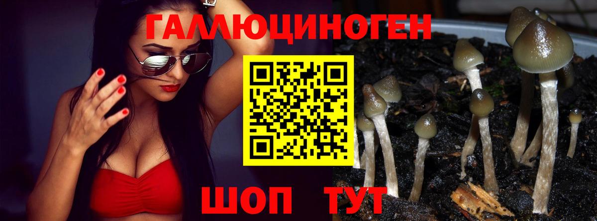 Меф мяу мяу Тихвин